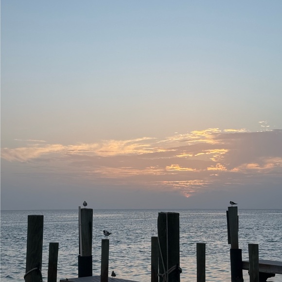 kelsixyoung